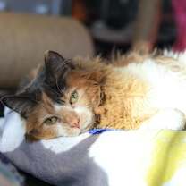 Thumbnail photo of Agatha #4