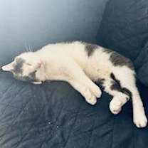 Thumbnail photo of Winter Ross II #4