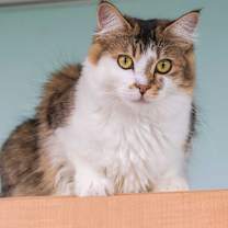 Thumbnail photo of Emily #1