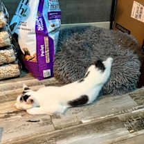 Thumbnail photo of Pout #4