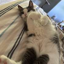 Thumbnail photo of Skylar #2