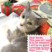 Thumbnail photo of Theresa (MT) #3