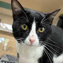 Thumbnail photo of Pascal  #3