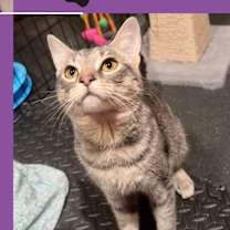 Thumbnail photo of Stevie & Nicks #1