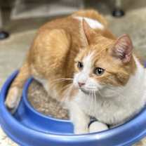 Thumbnail photo of Sunny Girl #4