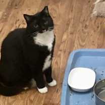 Thumbnail photo of Wendy #3