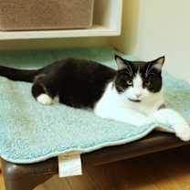 Thumbnail photo of Abbie #2