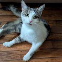 Thumbnail photo of Stevie S. #1