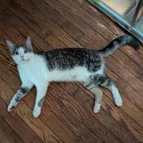 Thumbnail photo of Stevie S. #3