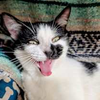 Thumbnail photo of Robby S #3