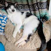 Thumbnail photo of Robby S #4