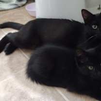 Thumbnail photo of KiKi #4