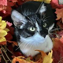 Thumbnail photo of Tink #2