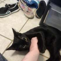 Thumbnail photo of Quinn #1