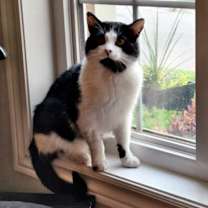 Thumbnail photo of Orion #3