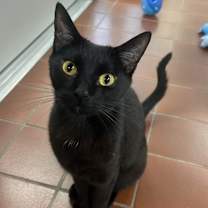 Thumbnail photo of Beck #1