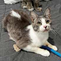 Thumbnail photo of Dottie #3