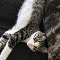 Thumbnail photo of Mars #4