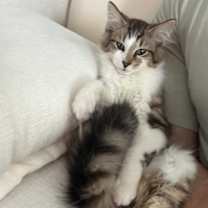 Thumbnail photo of Theo #2