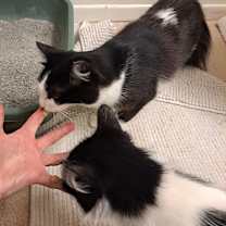 Thumbnail photo of Dash #3