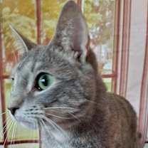 Thumbnail photo of Tippy #3