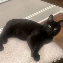 Thumbnail photo of JELLY BEAN #2