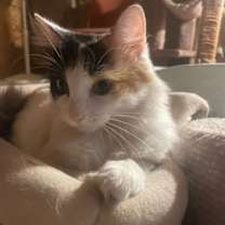 Thumbnail photo of Maxi Lee #2