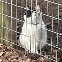 Thumbnail photo of Maxi Lee #3