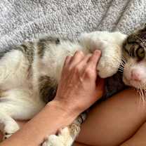 Thumbnail photo of Bradley #1