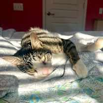 Thumbnail photo of Bradley #2