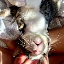 Thumbnail photo of Bradley #4