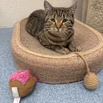 Thumbnail photo of Jane #1