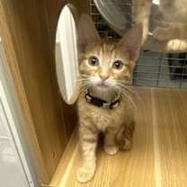 Thumbnail photo of Johnny & Jimmy #2