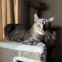 Thumbnail photo of Maggie #1