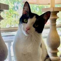 Thumbnail photo of Jet #3