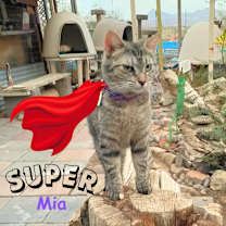Thumbnail photo of Mia #1