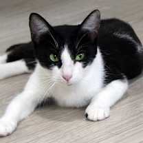 Thumbnail photo of Vanessa #1