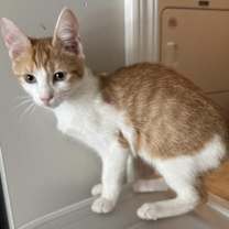 Thumbnail photo of Miller #1