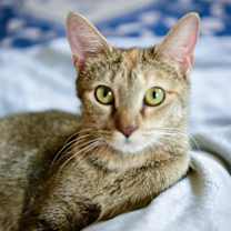 Thumbnail photo of Solene #1