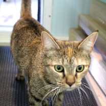 Thumbnail photo of Solene #2