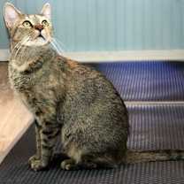 Thumbnail photo of Solene #3