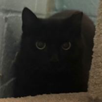 Thumbnail photo of Ella #3