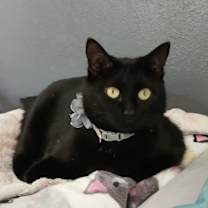 Thumbnail photo of Cierra #1