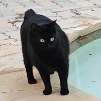 Thumbnail photo of Cierra #4