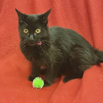 Thumbnail photo of Emma #1