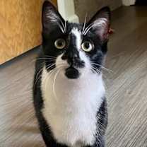 Thumbnail photo of Pasta: Penne #4