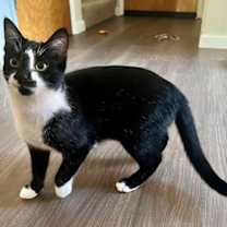 Thumbnail photo of Pasta: Penne #2