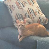 Thumbnail photo of Tobie BDL #4