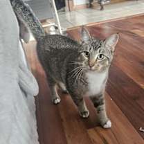 Thumbnail photo of Woody #1