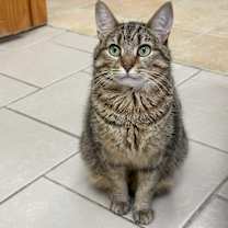 Thumbnail photo of Caroline #3